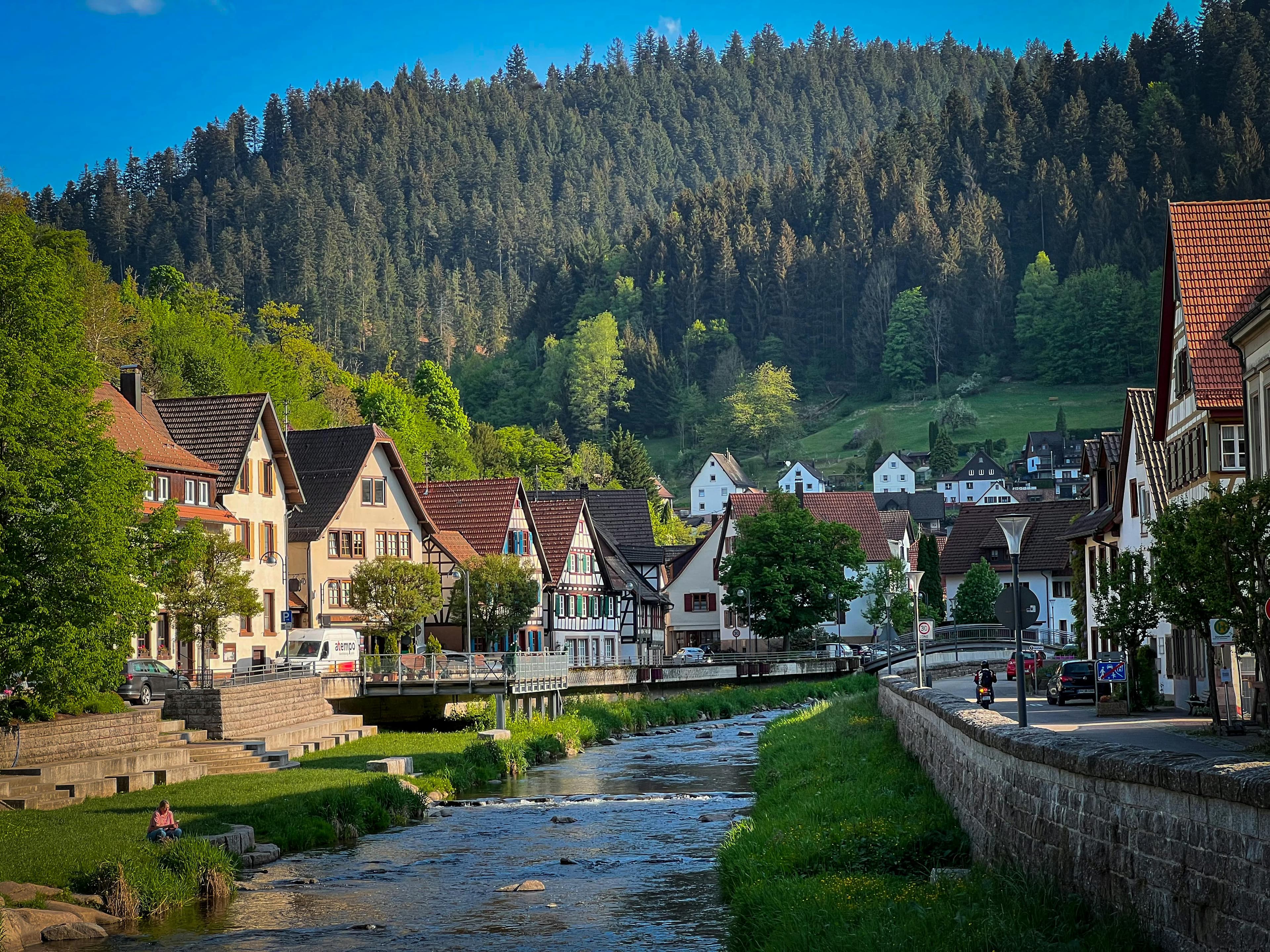 Black Forest with kids